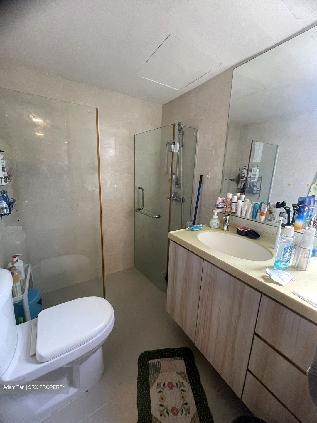 Pandan Valley (D21), Condominium #553105151